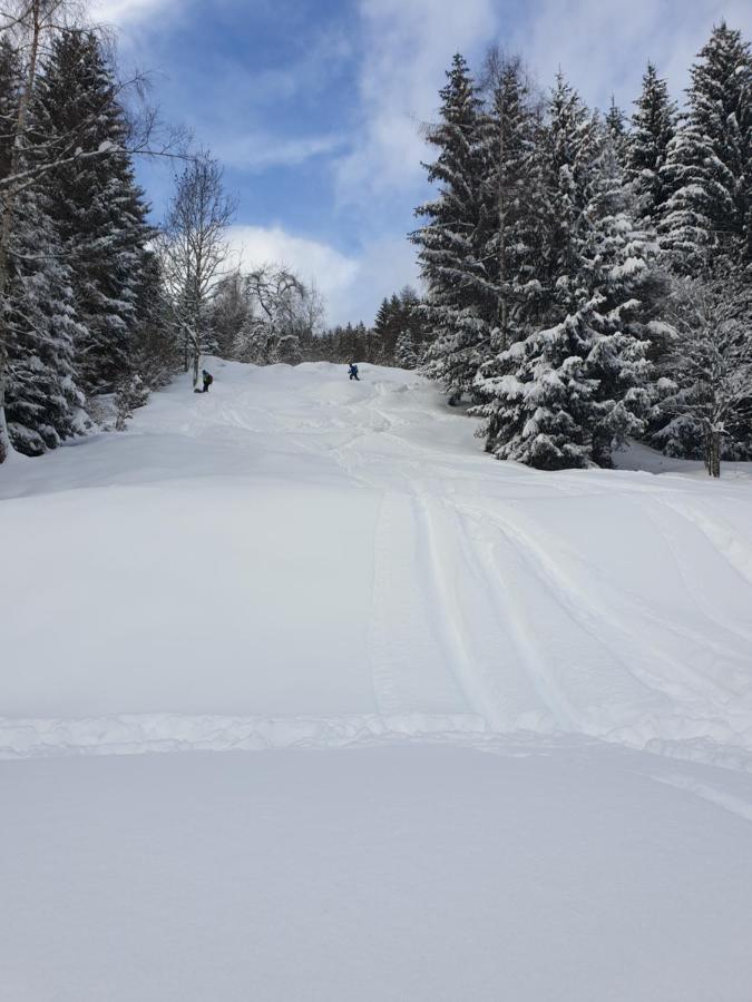 Chalet Chapeau Rar Castel Condino Dış mekan fotoğraf