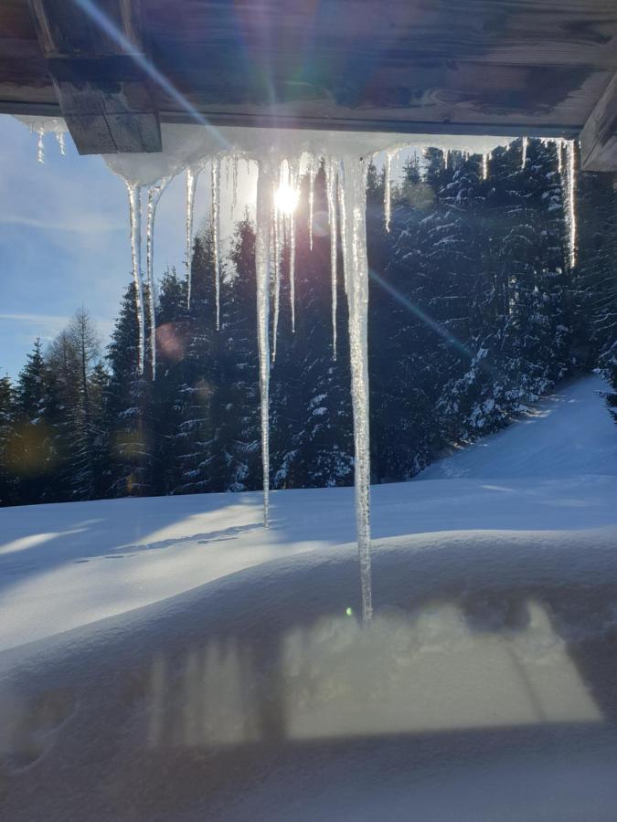 Chalet Chapeau Rar Castel Condino Dış mekan fotoğraf