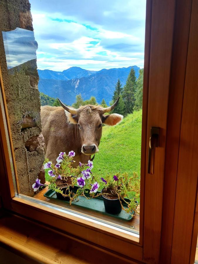 Chalet Chapeau Rar Castel Condino Dış mekan fotoğraf