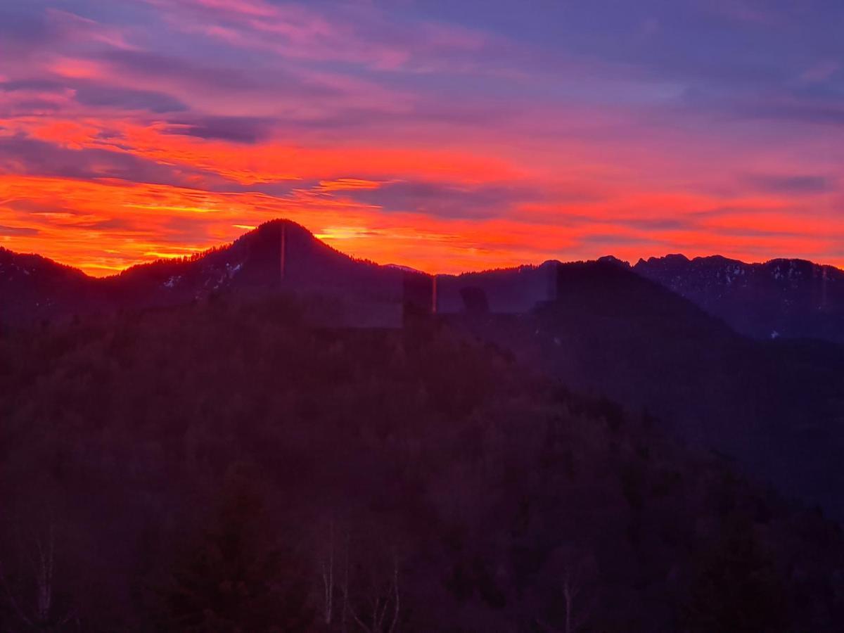 Chalet Chapeau Rar Castel Condino Dış mekan fotoğraf