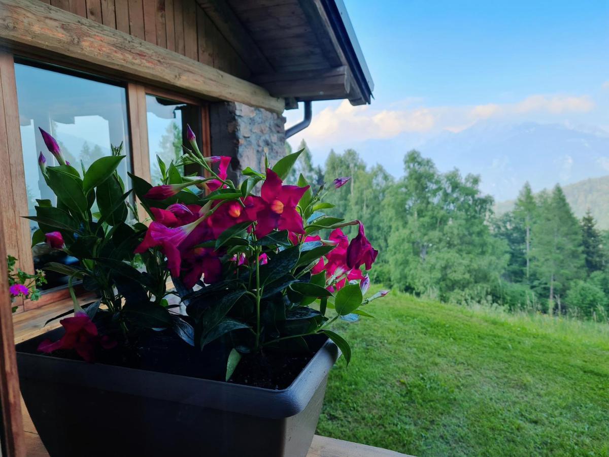 Chalet Chapeau Rar Castel Condino Dış mekan fotoğraf