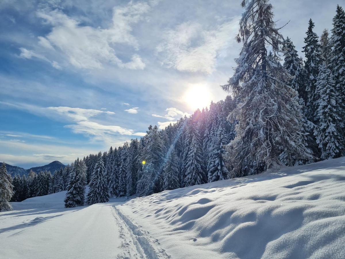 Chalet Chapeau Rar Castel Condino Dış mekan fotoğraf